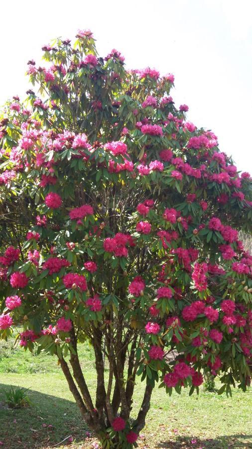 Recanto Da Natureza, Chale Gonçalves Buitenkant foto