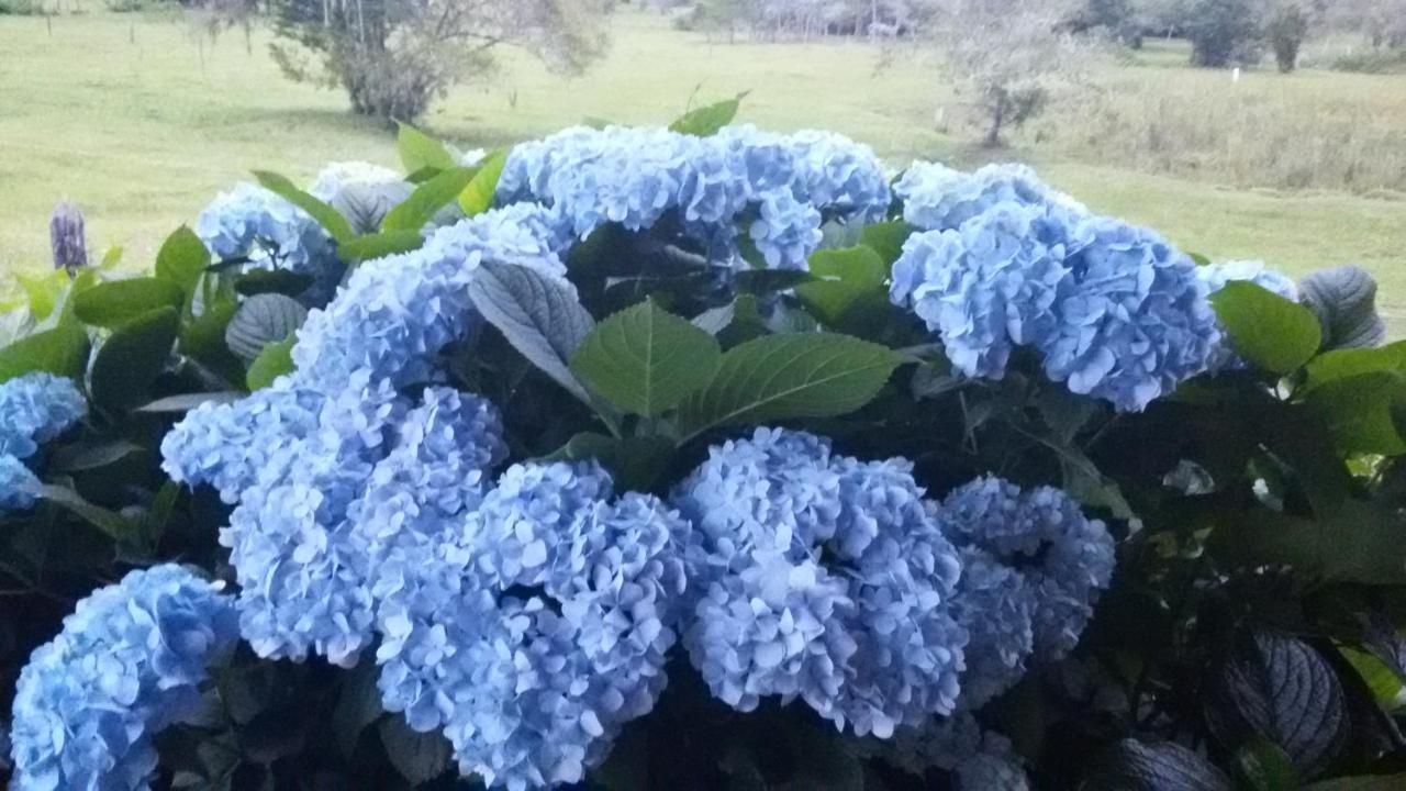 Recanto Da Natureza, Chale Gonçalves Buitenkant foto