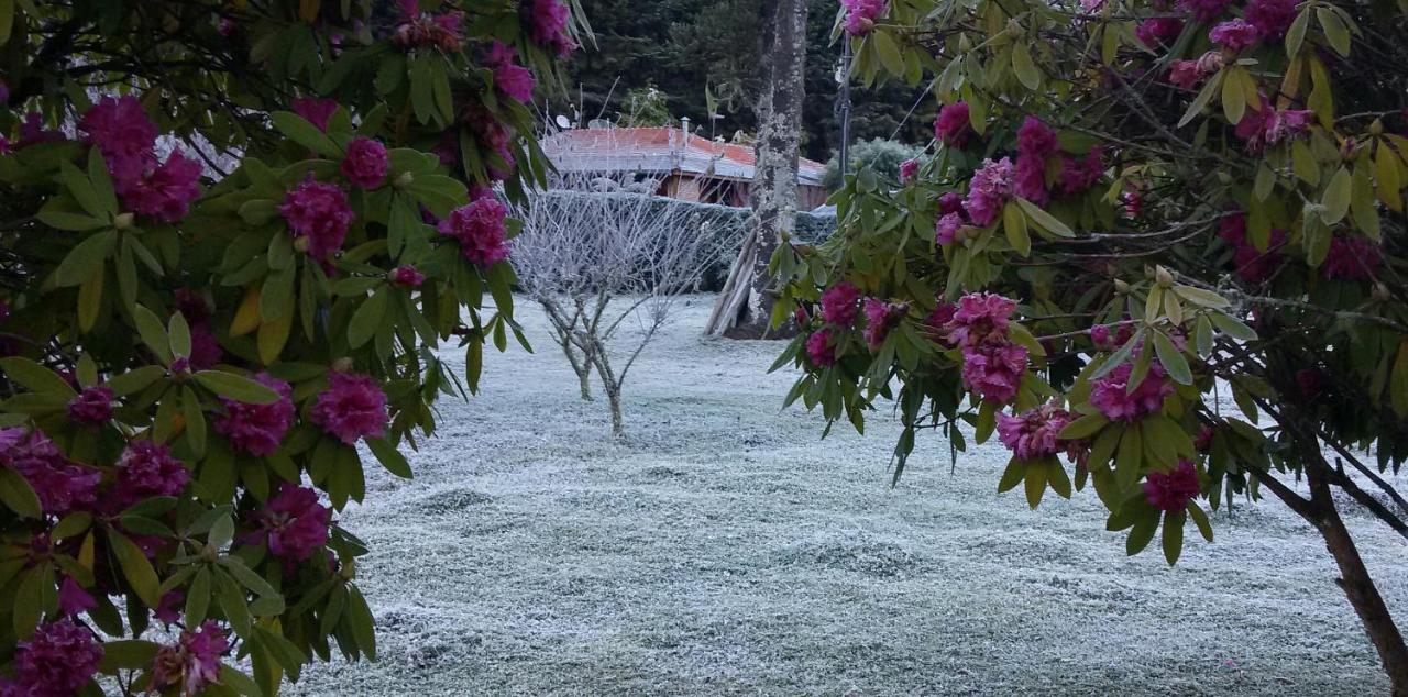 Recanto Da Natureza, Chale Gonçalves Buitenkant foto