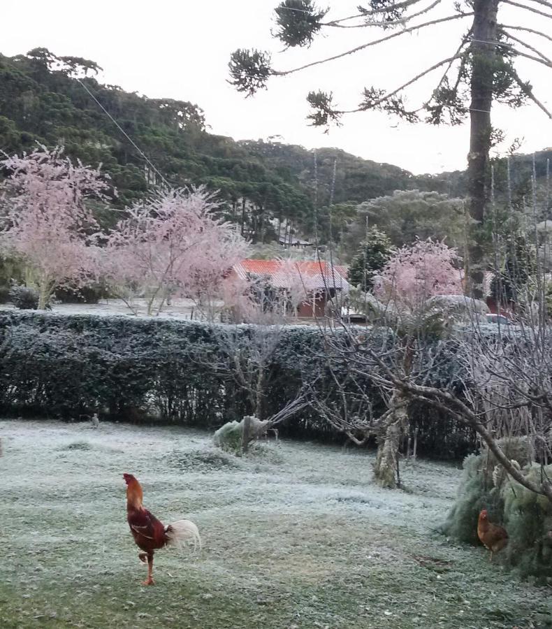 Recanto Da Natureza, Chale Gonçalves Buitenkant foto