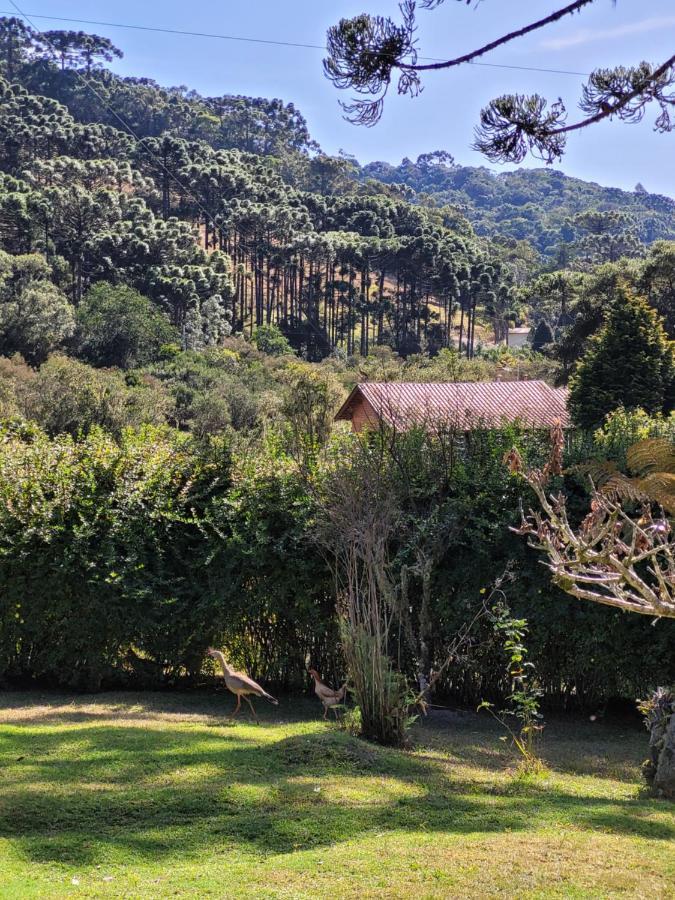 Recanto Da Natureza, Chale Gonçalves Buitenkant foto